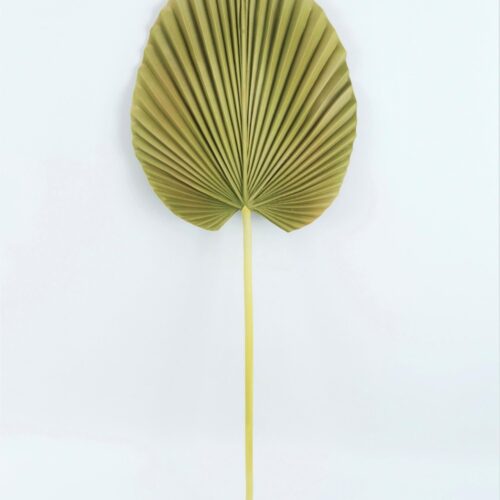 Flowers - Palm Pu Artificiale