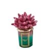 Melaverde – Candela Anemone Sfumata 100g - immagine 2
