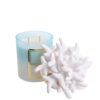 Melaverde – Candela Anemone Sfumata 300g