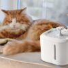Nobleza - Distributore d'acqua a fontanella Smart - immagine 2
