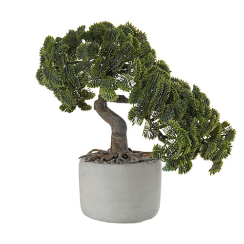 Asa Selection - Bonsai Artificiale