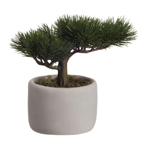 Asa Selection - Mini Bonsai Artificiale