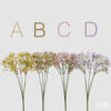 EDG - Gypsophila Cespuglio - immagine 2
