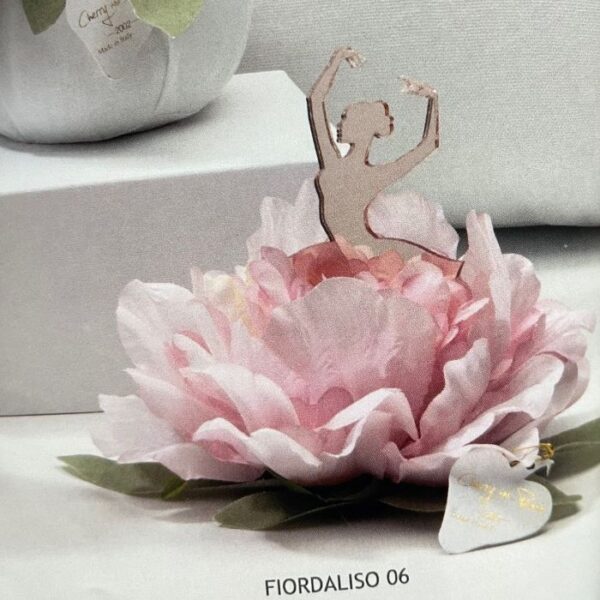 Cherry and Peach - Peonia Grande Rosa