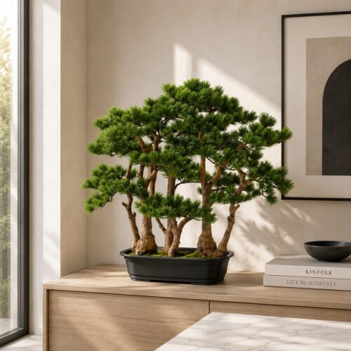bonsai