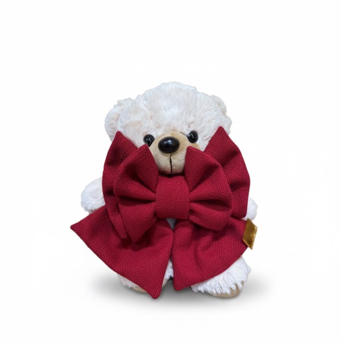 Madame Fioccò - Teddy Love