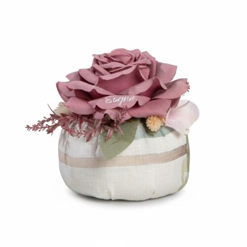 butterfly23 000 6950 jpg