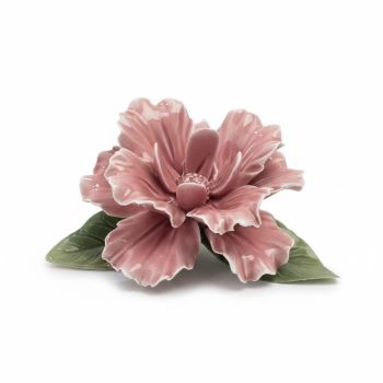 dafne09 000 4251 jpg