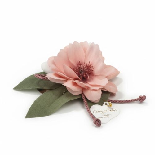 dafne17 000 4258 jpg