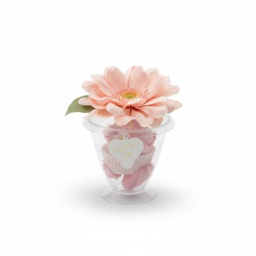 gerbera15 r 000 4303 jpg