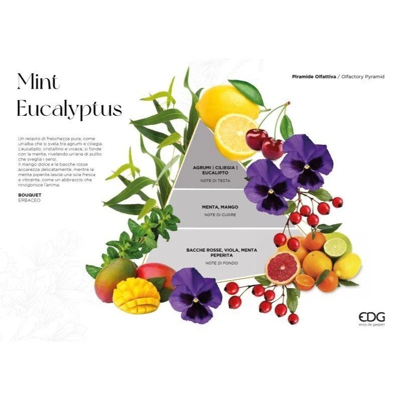 AMIE immagine edg enzo de gasperi edg enzo de gasperi profumatore bottiglia opal ml h cm mint eucalyptus ean