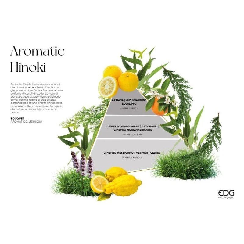 immagine edg enzo de gasperi edg enzo de gasperi profumatore bottiglia opal ml h cm aromatic hinoki ean