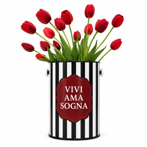 vaso vivi ama sogna jpg
