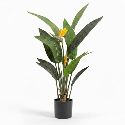 pianta artificiale sterlizia reginae jpg